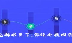 手机比特币钱包掉水里了：你还会找回你的加密