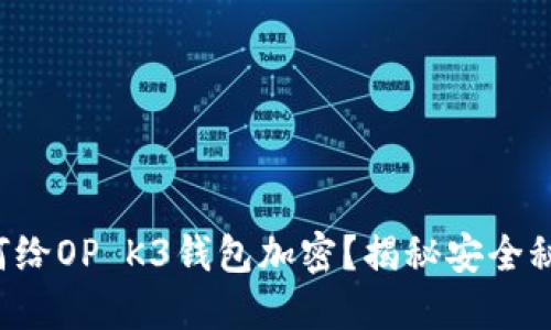 如何给OP K3钱包加密？揭秘安全秘诀！