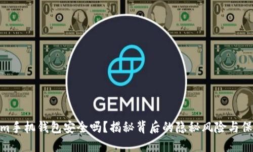 Tokenim手机钱包安全吗？揭秘背后的隐秘风险与保障措施