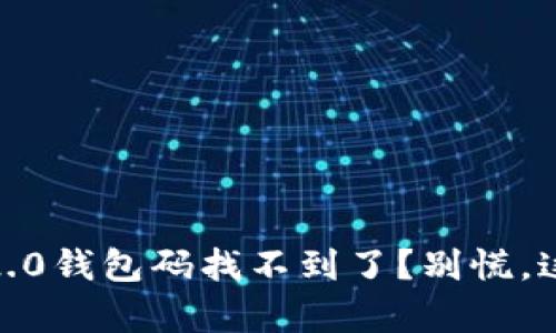 你的Tokenim 2.0钱包码找不到了？别慌，这里有解决方案！
