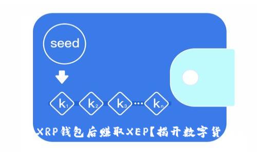 如何在拥有XRP钱包后赚取XEP？揭开数字货币的新机会