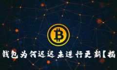 Tokenim 2.0钱包为何迟迟未进行更新？揭开背后的秘