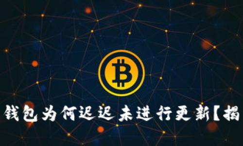 Tokenim 2.0钱包为何迟迟未进行更新？揭开背后的秘密