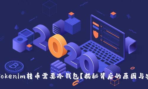 为什么Tokenim转币需要冷钱包？揭秘背后的原因与安全策略