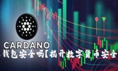 比特币接收钱包安全吗？揭开数字货币安全的神