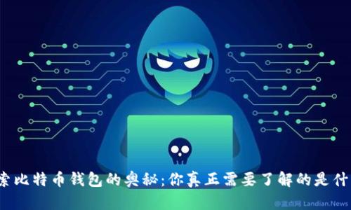 探索比特币钱包的奥秘：你真正需要了解的是什么？