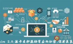 揭开Tokenim 2.0：波卡质押奖励背后的秘密，谁才是