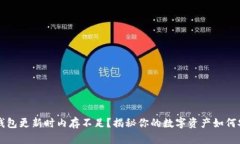 比特币钱包更新时内存不足？揭秘你的数字资产