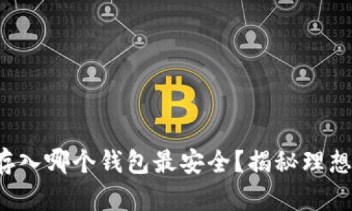 屎币存入哪个钱包最安全？揭秘理想选择！