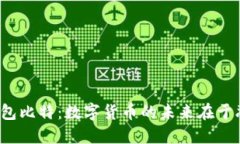 支持人民币钱包比特：数字货币的未来在于融合