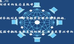 在Tokenim里，空头币通常是指通过空投活动获得的