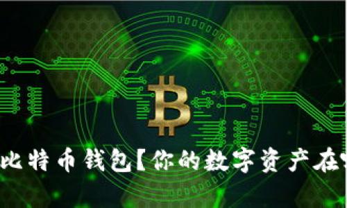 如何选择最佳比特币钱包？你的数字资产在哪里安全存放？