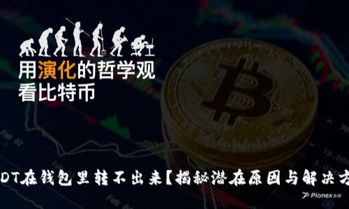USDT在钱包里转不出来？揭秘潜在原因与解决方案