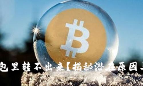 USDT在钱包里转不出来？揭秘潜在原因与解决方案