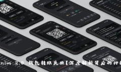 : Tokenim 2.0 钱包转账失败？深度解析背后的神秘原