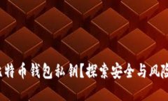 如何下载比特币钱包私钥？探索安全与风险的双