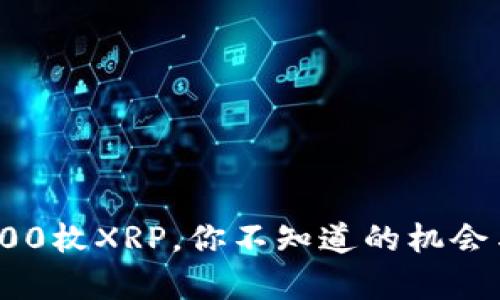 持有100枚XRP，你不知道的机会与风险