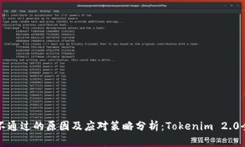 风险评测不通过的原因及应对策略分析：Tokenim 2.0全方位解读