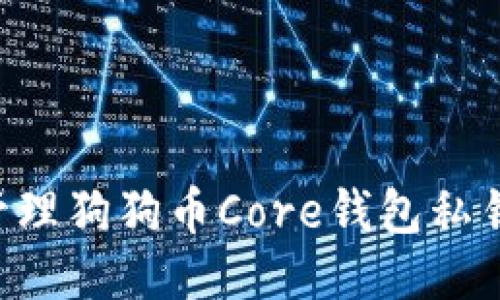 如何安全管理狗狗币Core钱包私钥：全面指南