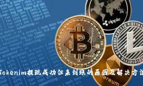 Tokenim提现成功但未到账的原因及解决方法