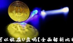 比特币钱包可以放在U盘吗？全面解析比特币存储
