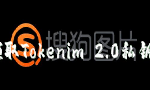 如何安全领取Tokenim 2.0私钥与UIN指南