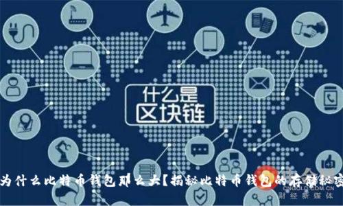 为什么比特币钱包那么大？揭秘比特币钱包的存储秘密