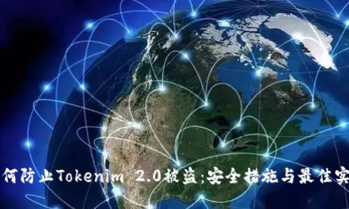 如何防止Tokenim 2.0被盗：安全措施与最佳实践