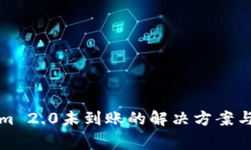 提币到Tokenim 2.0未到账的解决方案与常见问题解析