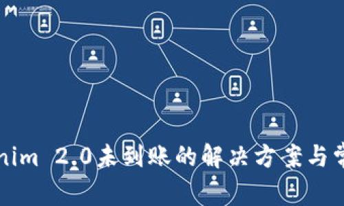 提币到Tokenim 2.0未到账的解决方案与常见问题解析
