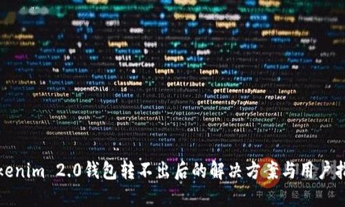 Tokenim 2.0钱包转不出后的解决方案与用户指南