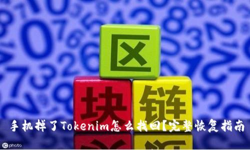 手机掉了Tokenim怎么找回？完整恢复指南