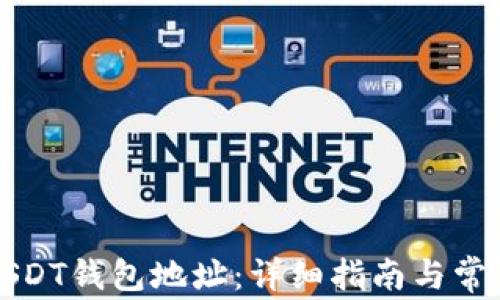 
如何申请USDT钱包地址：详细指南与常见问题解答