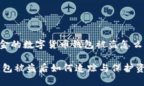 接收美金的数字货币钱包被盗怎么查？

USDT钱包被盗后如何追踪与保护资金安全