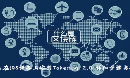 怎么在iOS设备上安装Tokenim 2.0：详细步骤与技巧