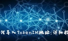 如何导入TokenIM地址：详细指南