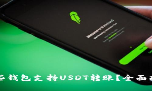 哪些钱包支持USDT转账？全面指南