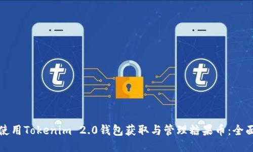 如何使用Tokenim 2.0钱包获取与管理糖果币：全面指南