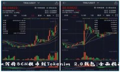 如何将BCH提币到Tokenim 2.0钱包：全面指南
