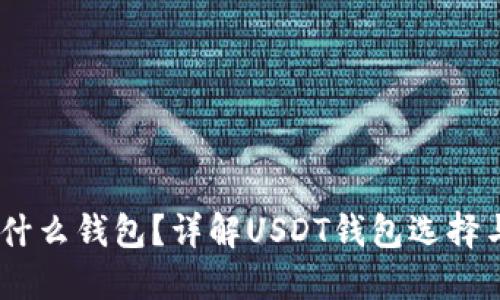 USDT使用什么钱包？详解USDT钱包选择与使用指南