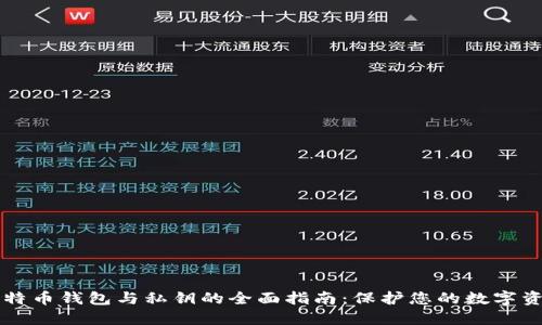 比特币钱包与私钥的全面指南：保护您的数字资产