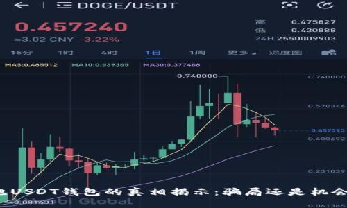 跑USDT钱包的真相揭示：骗局还是机会？