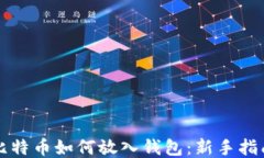 比特币如何放入钱包：新手指南