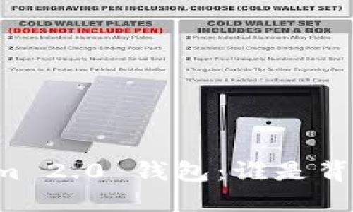 ### Tokenim 2.0 钱包：谁是背后的研发团队？