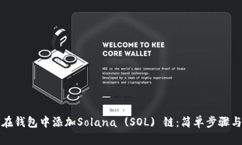 如何在钱包中添加Solana (SOL) 链：简单步骤与指南