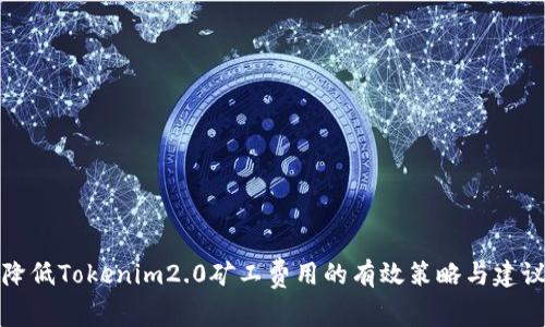 降低Tokenim2.0矿工费用的有效策略与建议