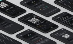 比特币钱包的通用性：选择合适钱包的关键因素