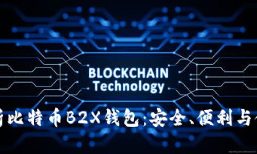 全面解析比特币B2X钱包：安全、便利与使用指南