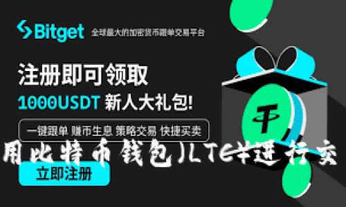 如何安全使用比特币钱包（LTC）进行交易：全面指南