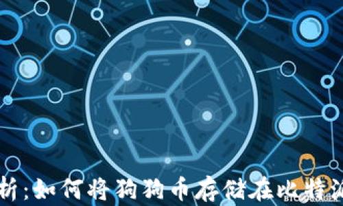 
全面解析：如何将狗狗币存储在比特派钱包中